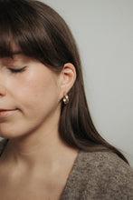 Load image into Gallery viewer, Floral Hoops
